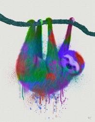 Sloth Rainbow Splash | Obraz na stenu