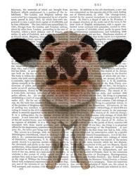 Nosey Cow 1 Book Print | Obraz na stenu