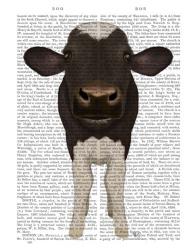 Nosey Cow 2 Book Print | Obraz na stenu