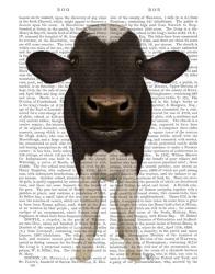 Nosey Cow 2 Book Print | Obraz na stenu