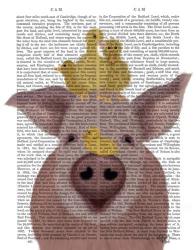 Pig and Ducklings Book Print | Obraz na stenu