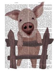 Pig On Fence Book Print | Obraz na stenu