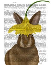 Daffodil Rabbit Book Print | Obraz na stenu