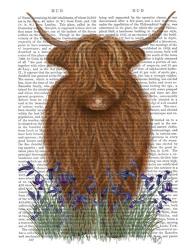 Highland Cow, Bluebell Book Print | Obraz na stenu