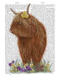 Highland Cow, Pansy Book Print | Obraz na stenu