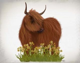 Highland Cow, Daffodil | Obraz na stenu