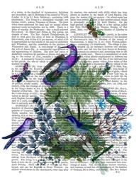 Tropical Birds Nest 1 Book Print | Obraz na stenu