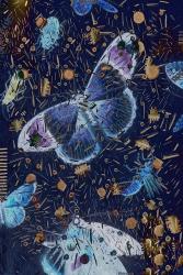 Confetti with Butterflies I | Obraz na stenu
