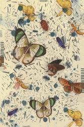 Confetti with Butterflies III | Obraz na stenu