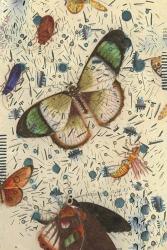 Confetti with Butterflies IV | Obraz na stenu