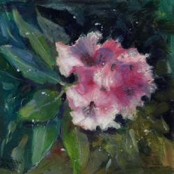 Rhododendron Portrait II | Obraz na stenu
