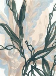 Seaweed Drift I | Obraz na stenu