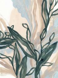 Seaweed Drift II | Obraz na stenu