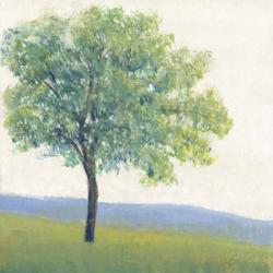 Solitary Tree I | Obraz na stenu