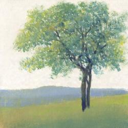 Solitary Tree II | Obraz na stenu
