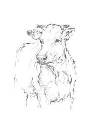 Bovine Quick Study II | Obraz na stenu