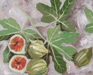 Decorative Fig I | Obraz na stenu