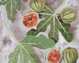 Decorative Fig II | Obraz na stenu