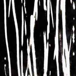 Streaking Paths I | Obraz na stenu