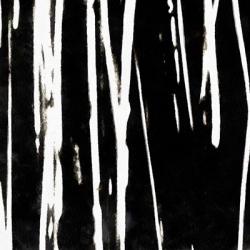 Streaking Paths II | Obraz na stenu