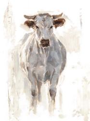 Sunlit Cows I | Obraz na stenu