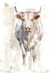 Sunlit Cows II | Obraz na stenu
