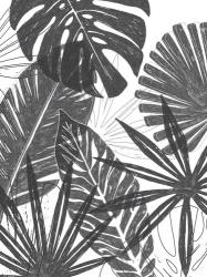 Palm Shadows I | Obraz na stenu