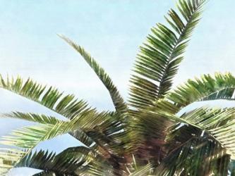 Pleasant Palms I | Obraz na stenu