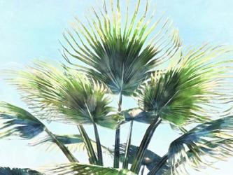 Pleasant Palms II | Obraz na stenu