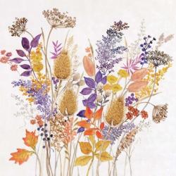 Dried Arrangement II | Obraz na stenu