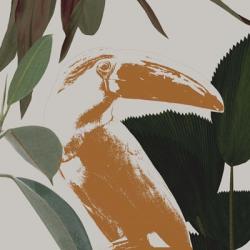 Graphic Tropical Bird III | Obraz na stenu