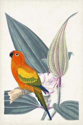 Tropical Bird & Flower IV | Obraz na stenu
