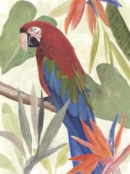 Tropical Parrot Composition III | Obraz na stenu