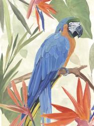Tropical Parrot Composition IV | Obraz na stenu