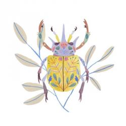 Floral Beetles I | Obraz na stenu