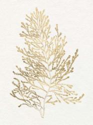 Gilded Algae IV | Obraz na stenu