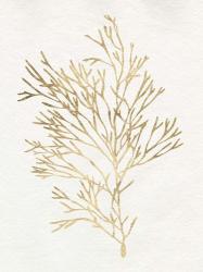 Gilded Algae VII | Obraz na stenu