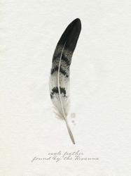 Found Feather I | Obraz na stenu