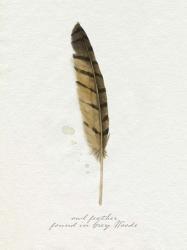 Found Feather III | Obraz na stenu