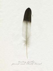 Found Feather IV | Obraz na stenu