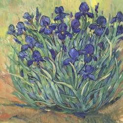 Irises in Bloom I | Obraz na stenu