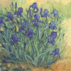 Irises in Bloom II | Obraz na stenu