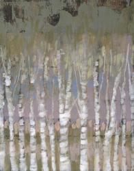 Pastel Birchline I | Obraz na stenu