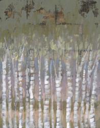 Pastel Birchline II | Obraz na stenu