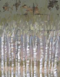 Pastel Birchline II | Obraz na stenu