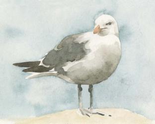 Simple Seagull I | Obraz na stenu