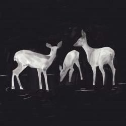Sophisticated Whitetail I | Obraz na stenu