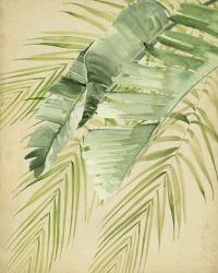 Banana Palms II | Obraz na stenu
