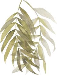 Palm Embrace II | Obraz na stenu