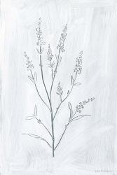 Milkweeds I | Obraz na stenu